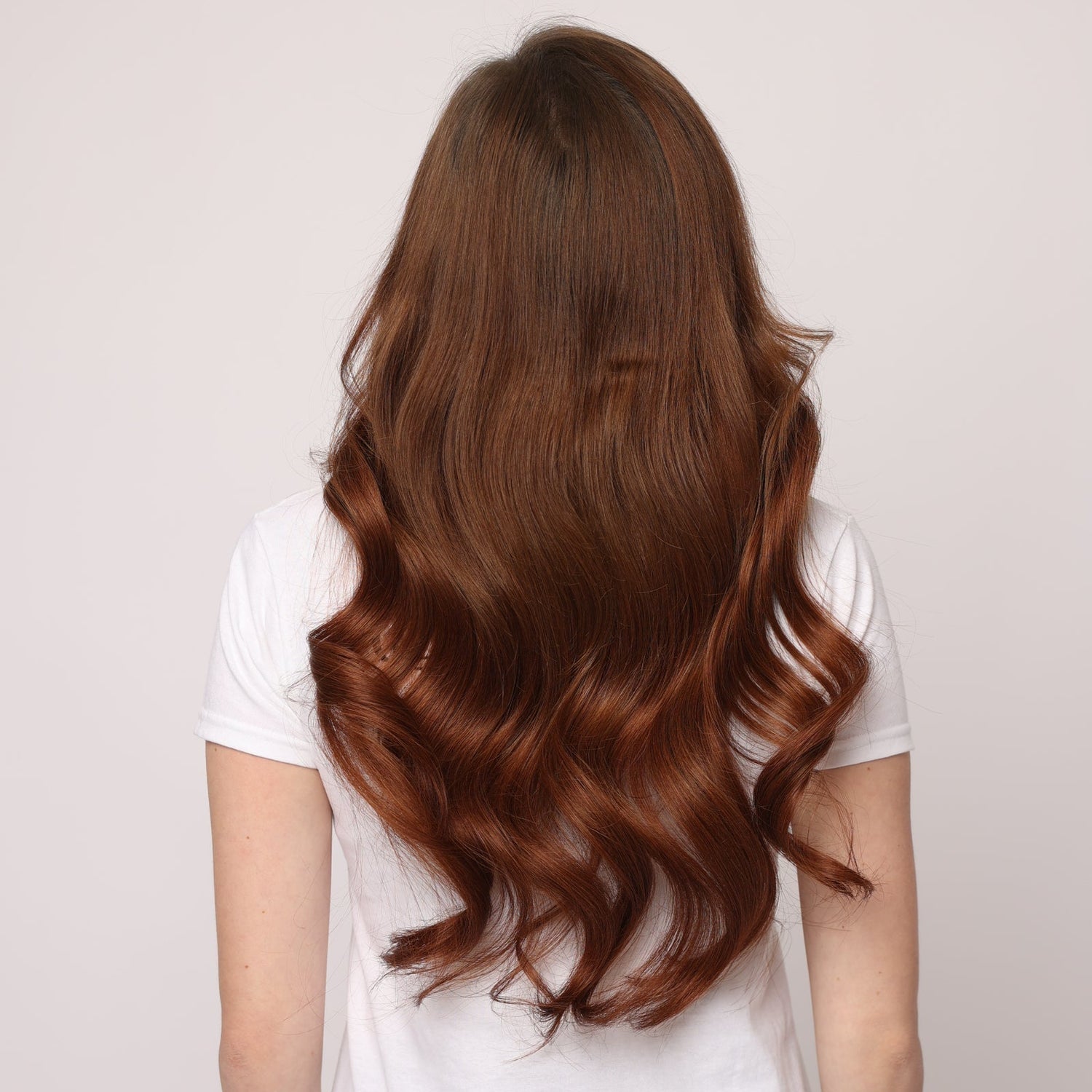 Chestnut Brown, Genius Weft